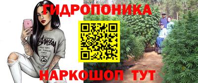 мяу мяу мука Пенза