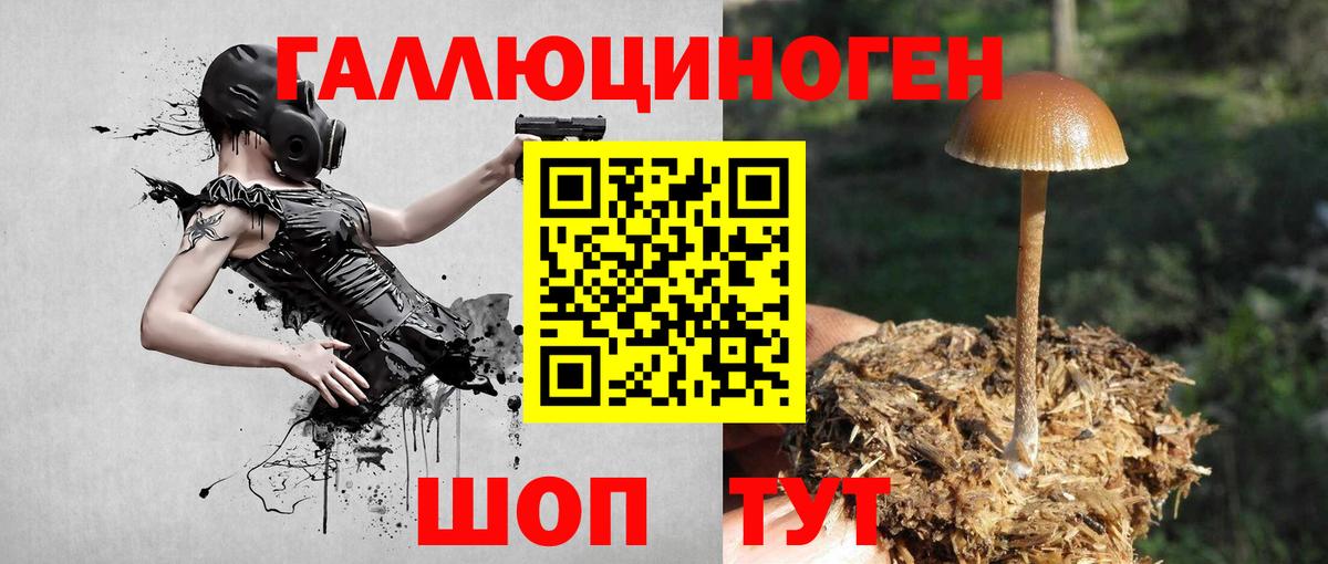 Галлюциногенные грибы мицелий Сочи